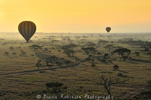 Hot Air Balloon Ride Over the Serengeti, Tanzania
